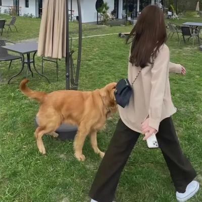 涅槃郡主